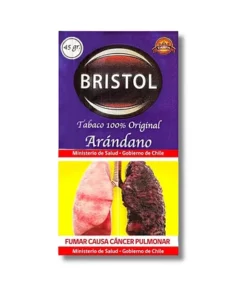 Bristol Arándano 45 grs.