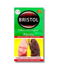 Bristol Menta 45 grs.