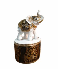 Joyero de Elefante BM22256